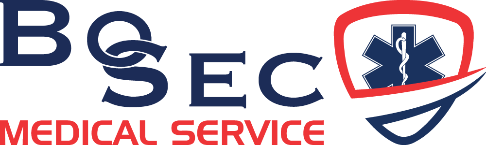 Bosec Logo Color